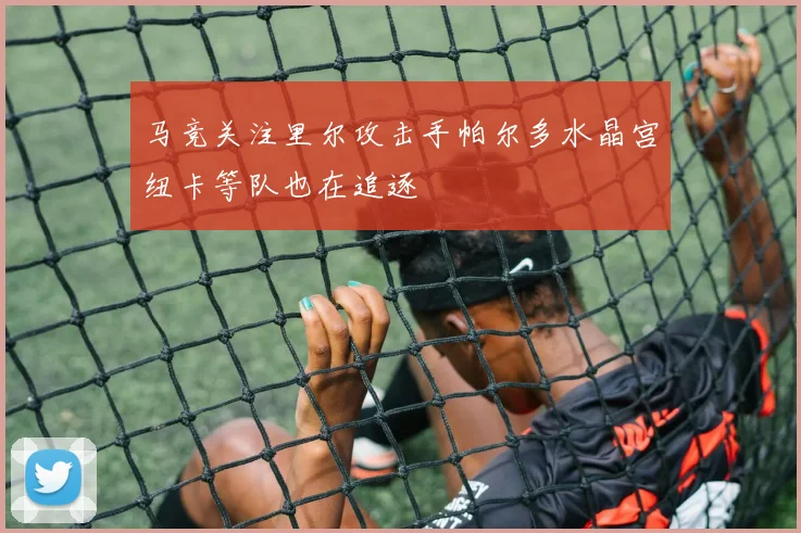 马竞关注里尔攻击手帕尔多水晶宫纽卡等队也在追逐