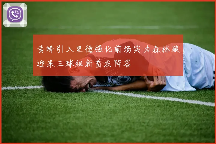 黄蜂引入里德强化前场实力森林狼迎来三球组新首发阵容